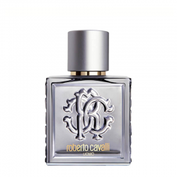 Roberto cavalli uomo silver essence eau de toilette