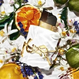 Yves saint laurent libre l'eau nue parfum de peau