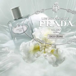 Prada infusion d'iris cèdre eau de parfum