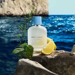 Dolce & gabbana light blue eau de toilette