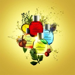 Clarins eau des jardins eau de soins
