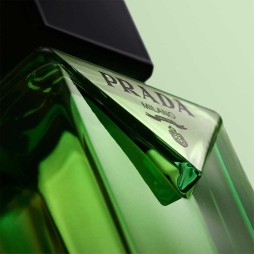 Prada paradigme eau de parfum