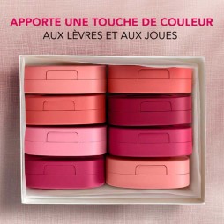 Bourjois blush macaron melt lip & cheek flush