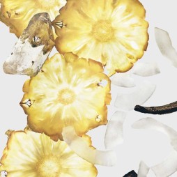 Calvin klein ck silky cocount