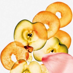 Calvin klein ck sheer peach