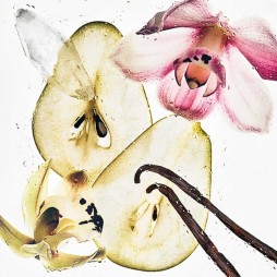 Calvin klein ck nude vanilla