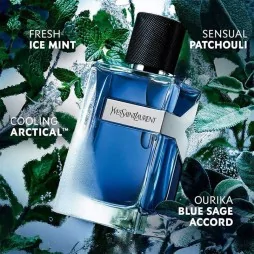 Yves saint laurent y iced cologne eau de toilette intense