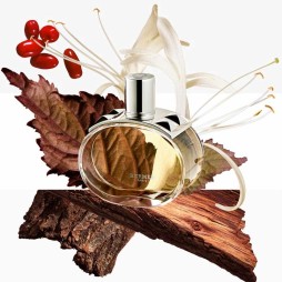 Hermès barénia eau de parfum
