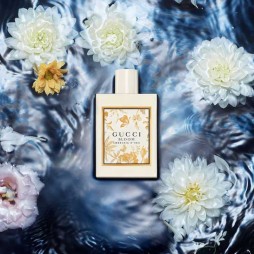 Gucci bloom ambrosia d'oro eau de parfum