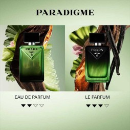 Prada paradigme le parfum
