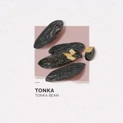 Solinotes tonka eau de parfum